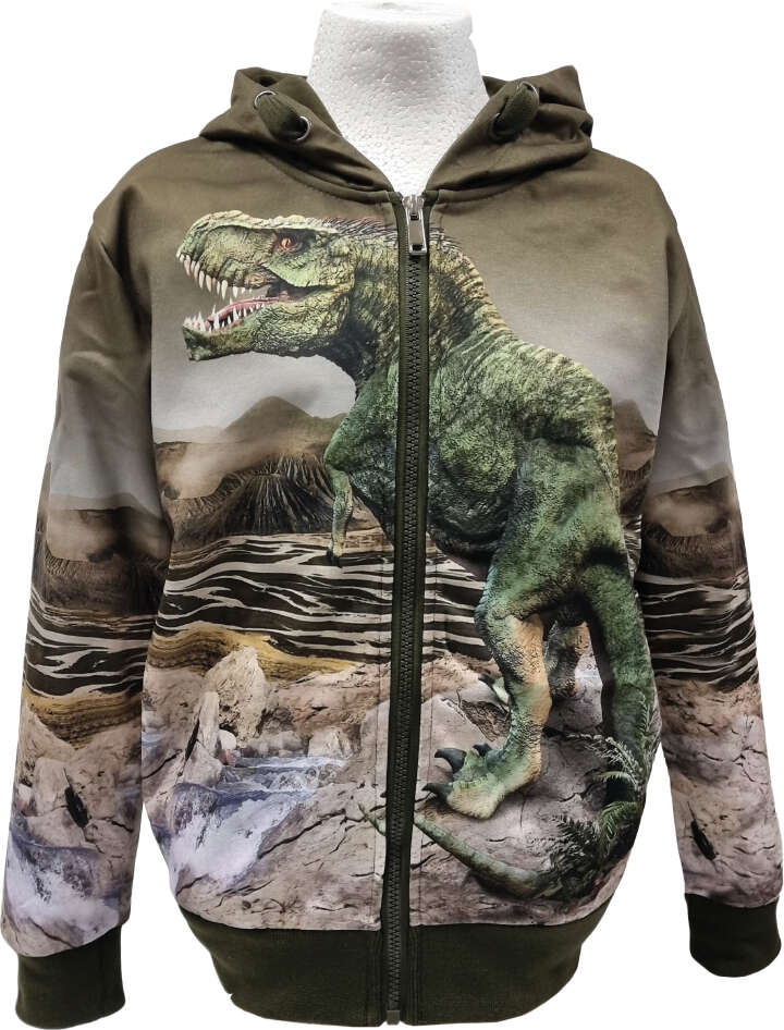 Kinder Sweatjacke Dino